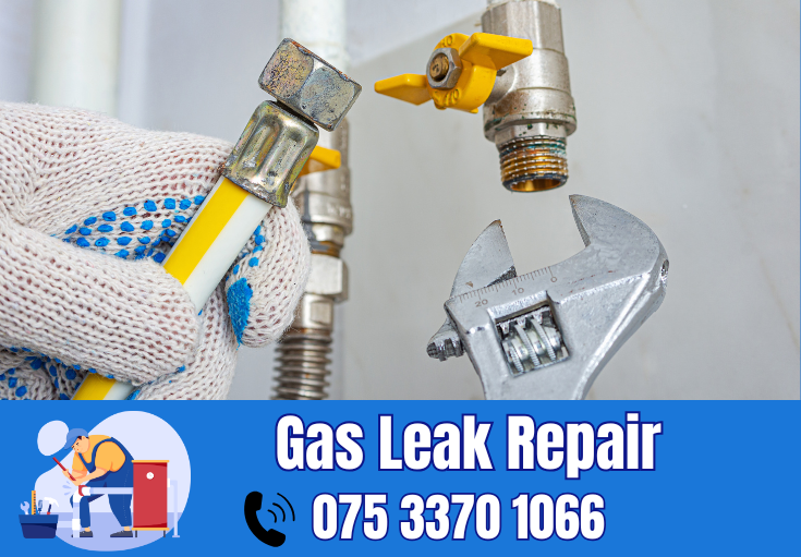 gas leak repair West Kingsdown