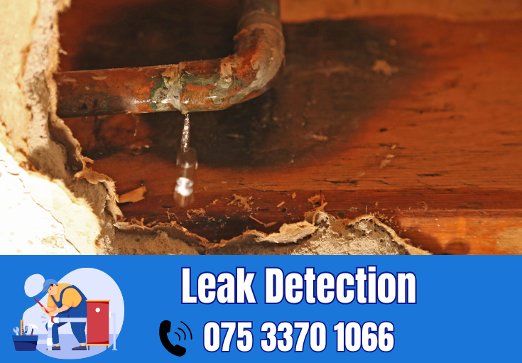 leak detection West Kingsdown