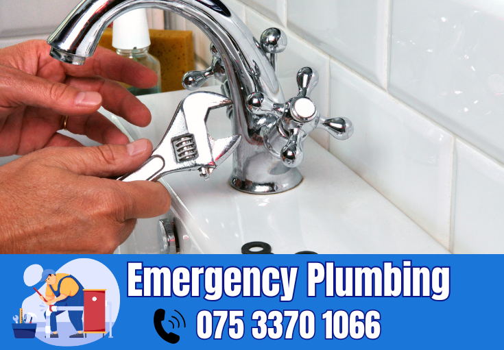  plumber Eynsford