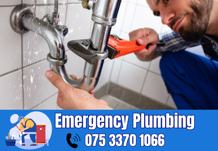  plumber Otford