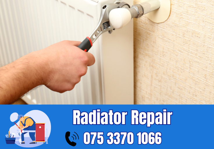 radiator repair and installation West Kingsdown