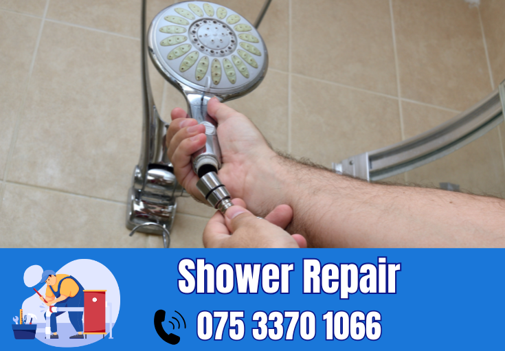 shower repair and installation West Kingsdown