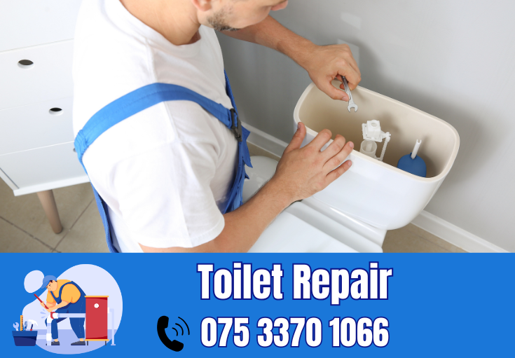 toilet repair West Kingsdown